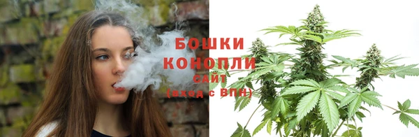 ГАЛЛЮЦИНОГЕННЫЕ ГРИБЫ Переславль-Залесский