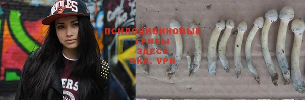 спайс Пересвет