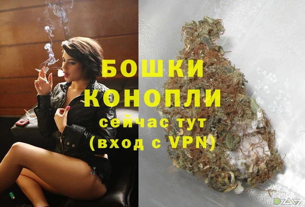 спайс Пересвет