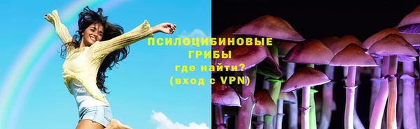 ГАЛЛЮЦИНОГЕННЫЕ ГРИБЫ Переславль-Залесский