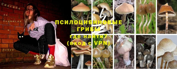 ГАЛЛЮЦИНОГЕННЫЕ ГРИБЫ Переславль-Залесский