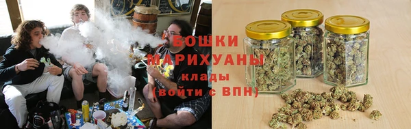ГАЛЛЮЦИНОГЕННЫЕ ГРИБЫ Переславль-Залесский