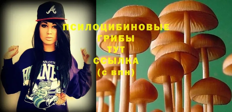 Псилоцибиновые грибы MAGIC MUSHROOMS  сайты даркнета формула  Боровск 