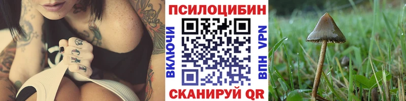 блэк спрут маркетплейс  Боровск  Псилоцибиновые грибы Psilocybe 